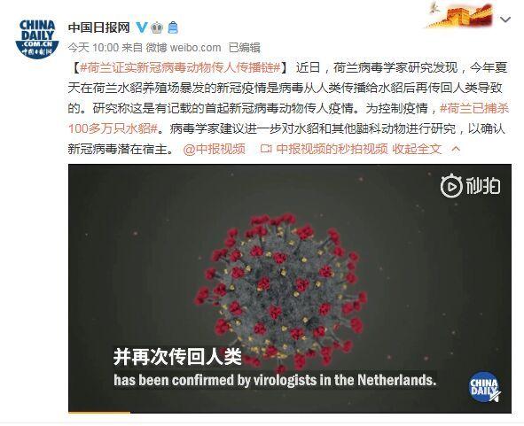 首起！荷蘭證實(shí)新冠病毒動(dòng)物傳人疫情鏈條：病毒從人類傳播給水貂后再傳回人類