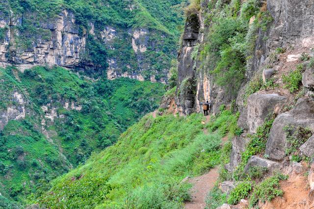 四川批準涼山7縣摘帽脫貧！全省88個貧困縣全部清零